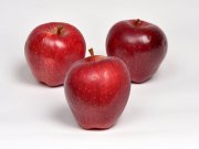 Red Chief Elma Fidanı 4-5 Yaş-Saksılı-200 cm