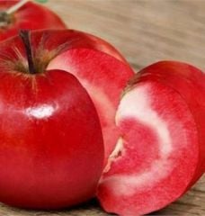 Ordu Şehri-İçi Dışı Kırmızı Elma Fidanı Doğal-Boy 250-300 cm-7 Yaş-Gövde Çapı 10-16 cm