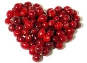 Kızılcık Fidanı 5 Yaş-Boy 200 cm