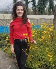Kanarya Gülü (Kerria Japonica) 80-120 cm