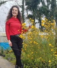 Kanarya Gülü (Kerria Japonica) 80-120 cm