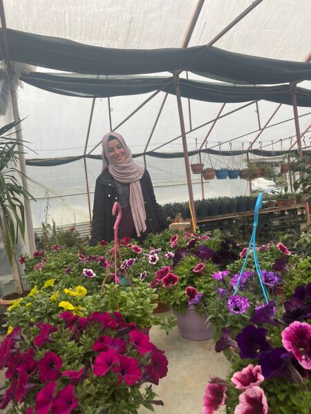 Petunya Çiçeği Askılı Saksıda Bol Çiçekli