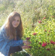 Dianthus Barbatus ( Hüsnüyusuf ) Fidanı
