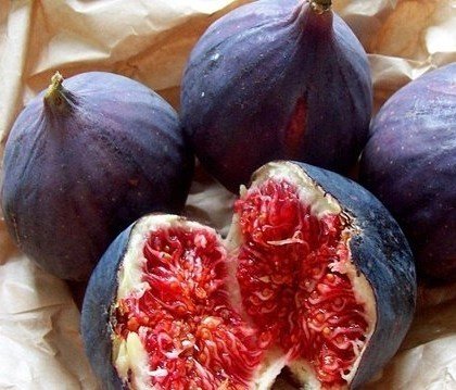 Jumbo İncir Fidanı 3 Yaş- Boy 100-130 cm