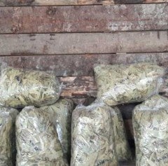 200 gr Ihlamur Çiçeği