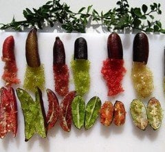 Finger Lime ( Avustralya Parmak Limonu) 40-70 cm