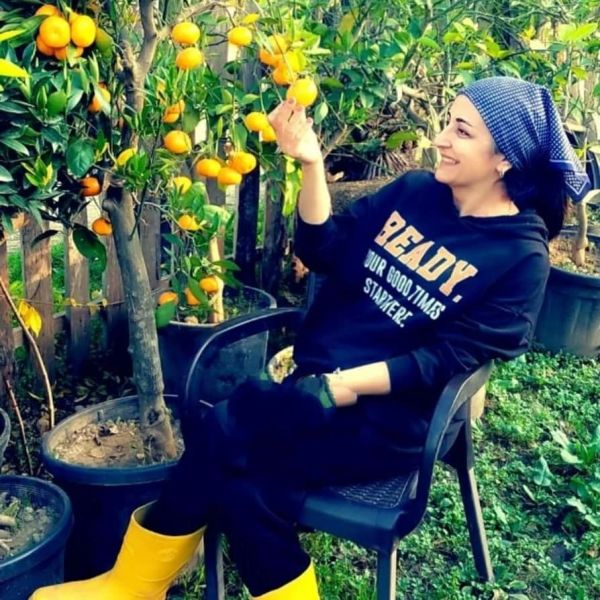 Mandalina Ağacı 12 Yaş-Gövde Çevresi 20-25 cm