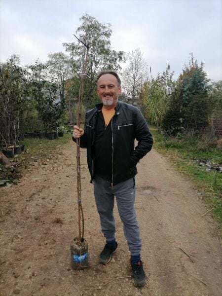 Moldovya Üzümü-5 Yaş-Boy 180-200 cm