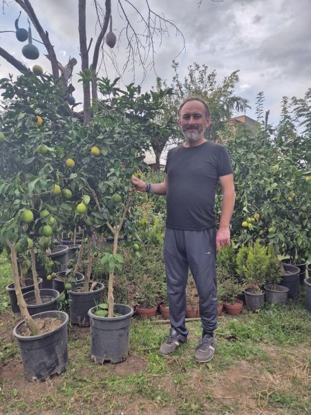 Mayer Limon Gelişmiş 8-10 Yaş 200-250 cm