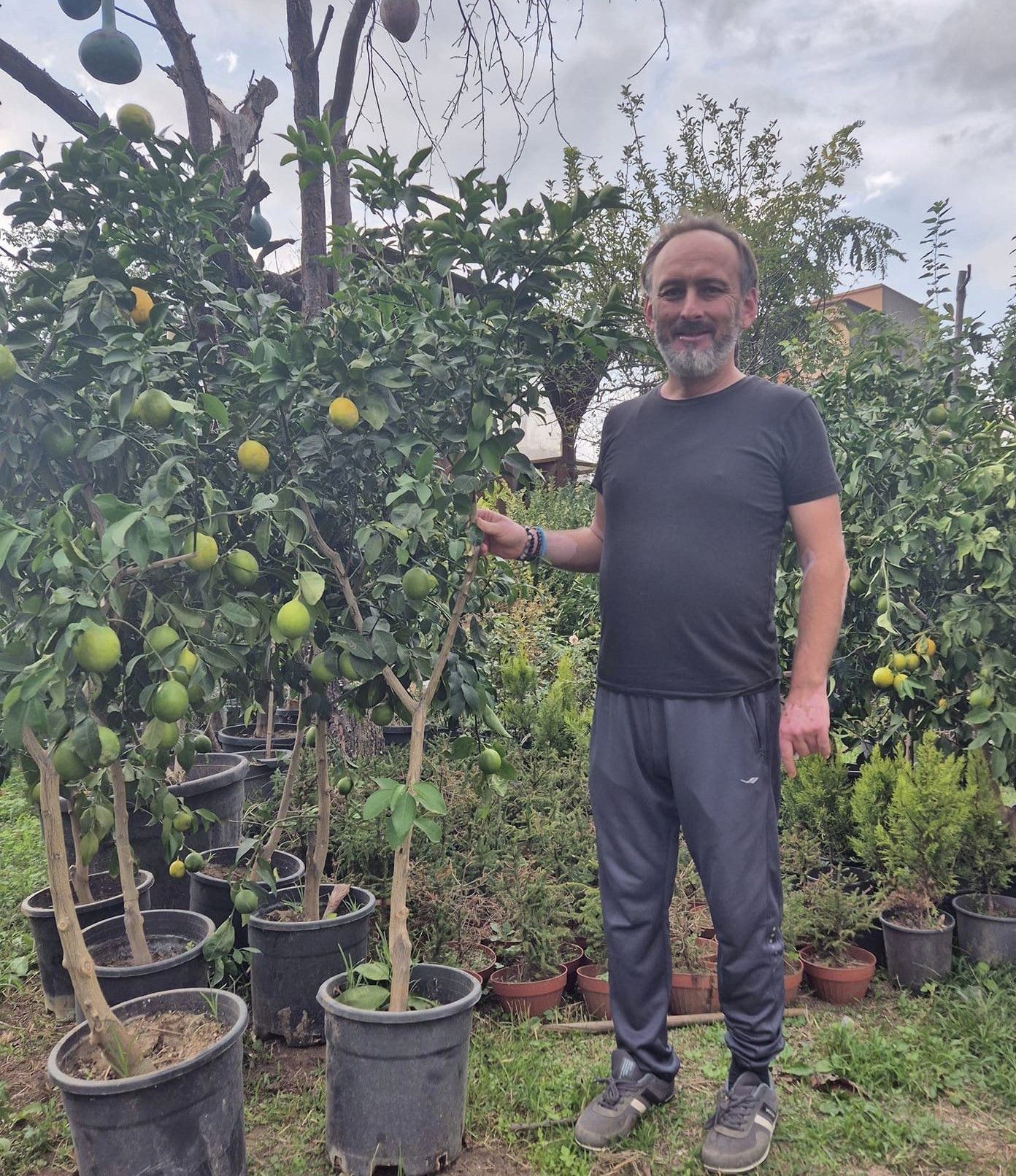 Mayer Limon Gelişmiş 8-10 Yaş 200-250 cm