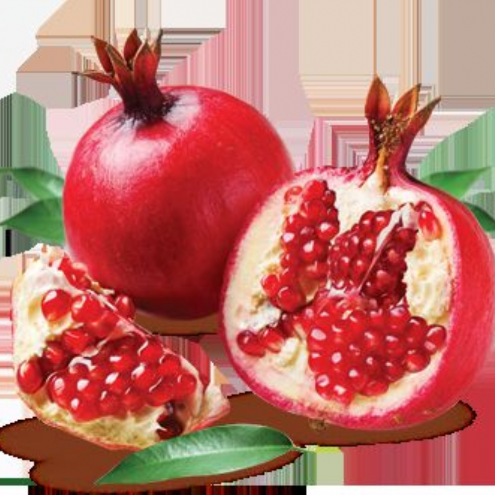 Nar (Katırbaş Nar Fidanı) 50-60 cm