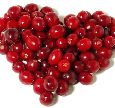 Aşılı Kızılcık Fidanı 80 cm