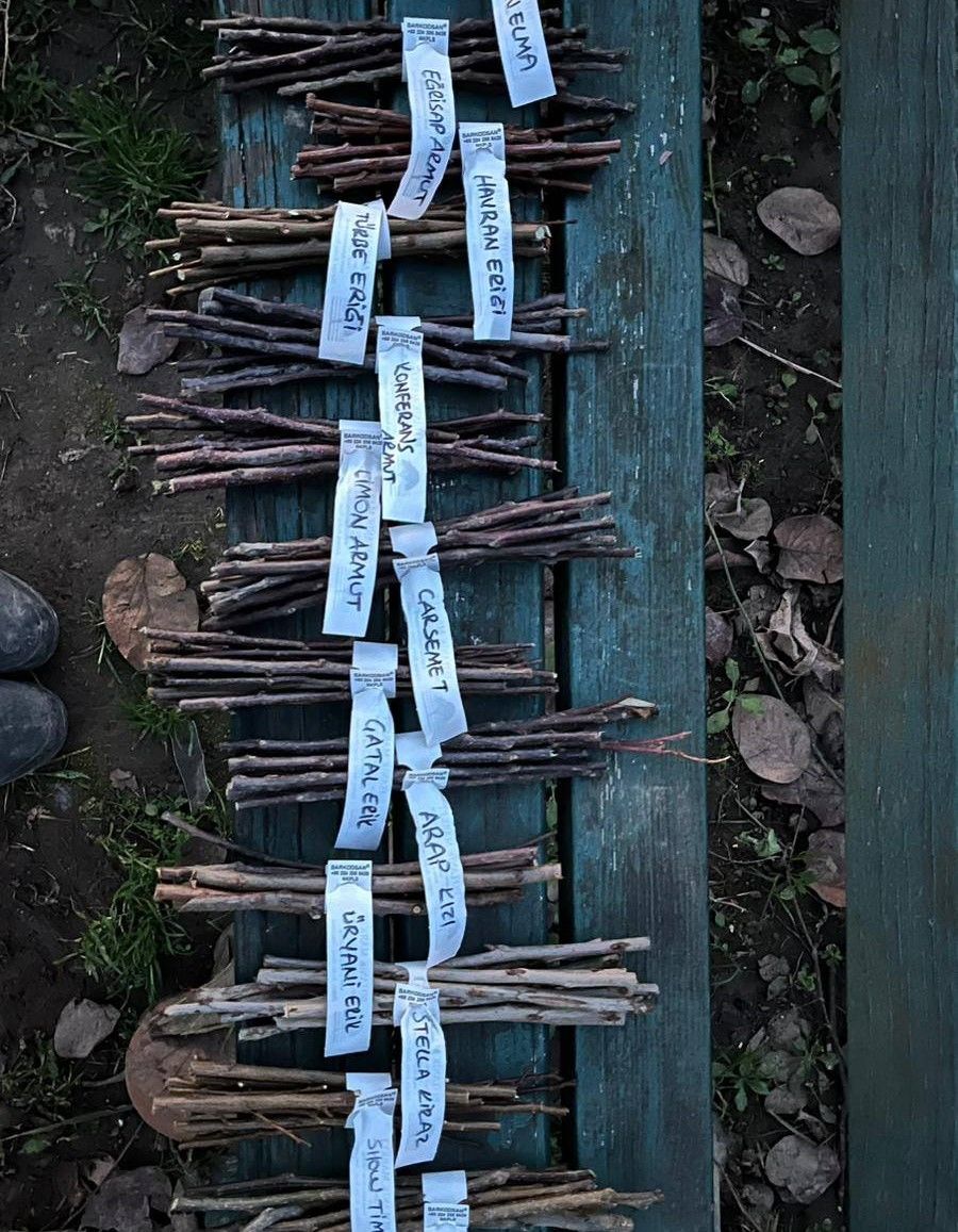 10 Adet Aşı Kalemi (20 cm uzunluğunda)