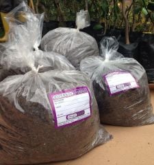 Bitkileriniz için Özel Karışım ( 10 Litre )Toprak