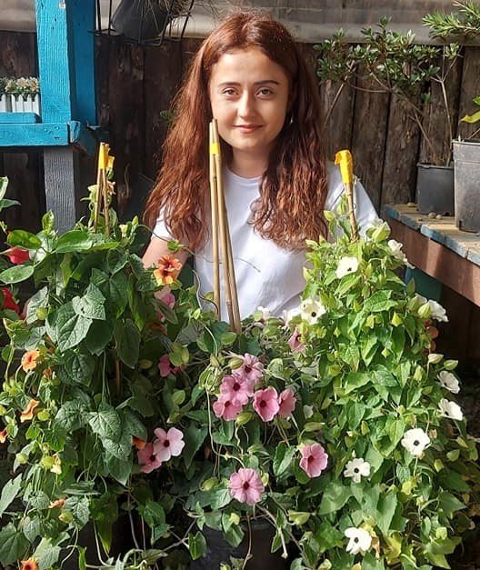Karagözlü Suzan Sarmaşığı Fidanı Jumbo Boy-Bol Çiçekli