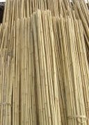 180 CM BAMBU ÇUBUĞU 10 ADET 10-12 mm