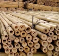 180 CM BAMBU ÇUBUĞU 10 ADET 10-12 mm