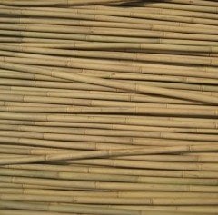 180 CM BAMBU ÇUBUĞU 10 ADET 10-12 mm