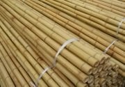 180 CM BAMBU ÇUBUĞU 10 ADET 10-12 mm