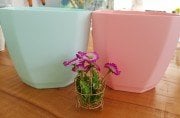 Plastik Stil Kare Saksı 3.5 litre