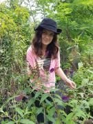 Buddleja Davidii Nanho Purple, Kelebek Çalısı Fidanı