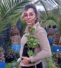 Karagözlü Suzan Sarmaşığı Fidanı Beyaz Renk
