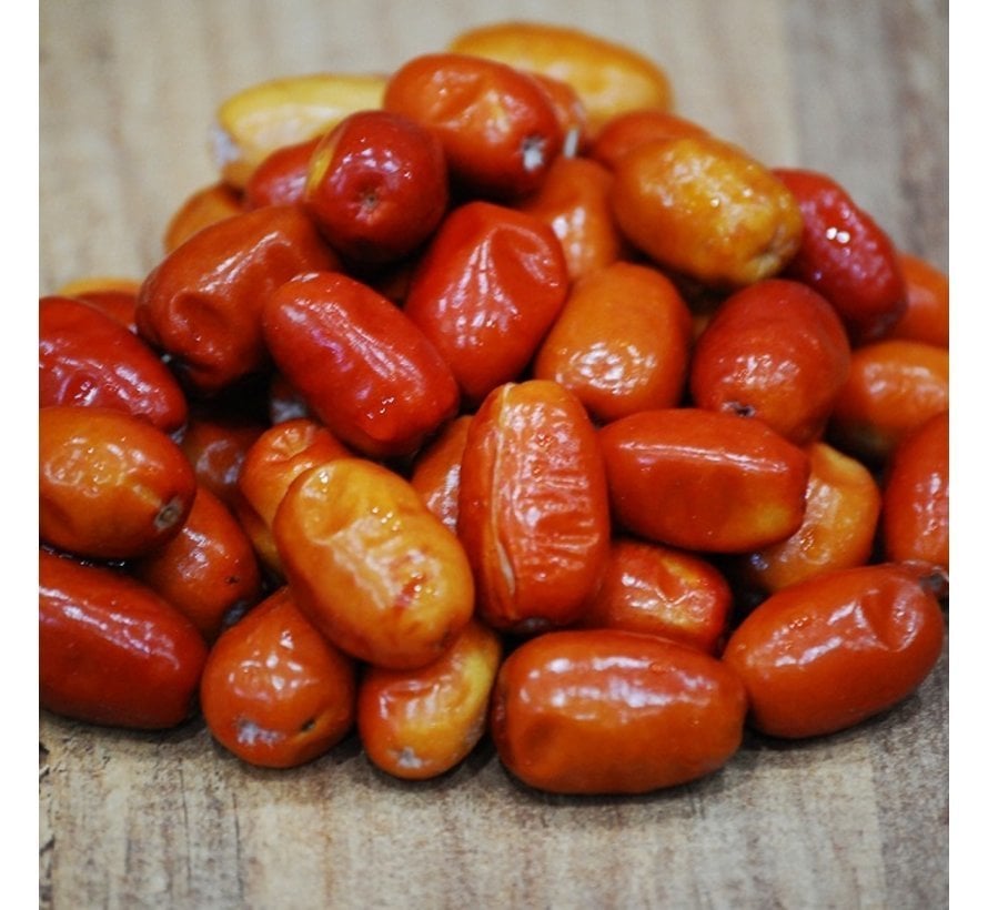 İğde Fidanı 6-8 Yaş-200 cm-Gövde Çevresi 8-10 cm