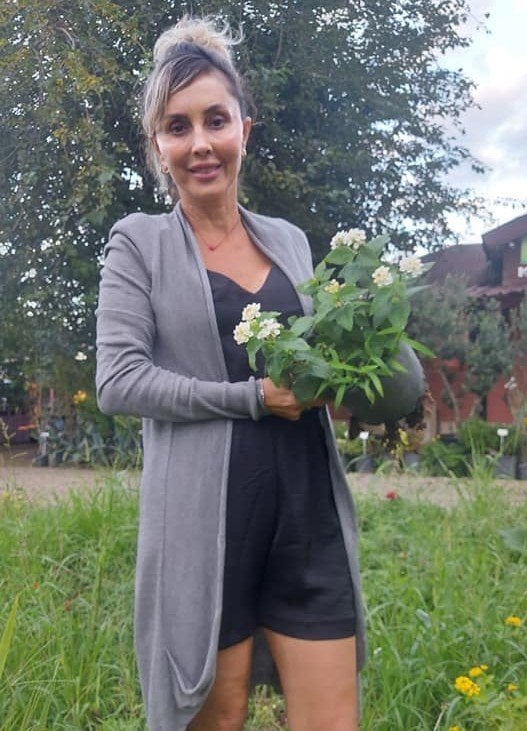 Lantana camara (Beyaz Çiçekli Ağaç Minesi)