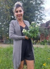 Lantana camara (Beyaz Çiçekli Ağaç Minesi)