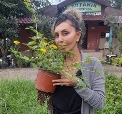 Lantana camara (Sarı Çiçekli Ağaç Minesi)