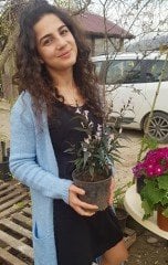 Ruellia Brittoniana (Mexican Petunia) Mücevher Çiçeği