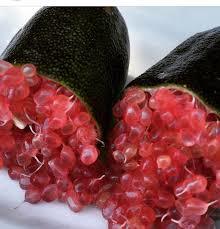 Finger Lime - Byron Sunrise Sadece ve Sadece Botanik Market Seralarında