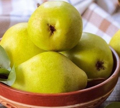 zennure hanım özel satış ilanı