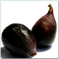 Dağ İnciri-Doğal İncir Fidanı 50-100 cm