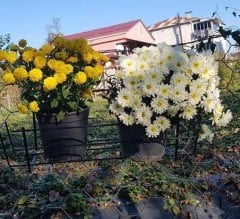 Balkon Saksı Askısı Metal Orta Boy