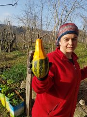 5 Adet  SÜS KARA KABAK TOHUMU