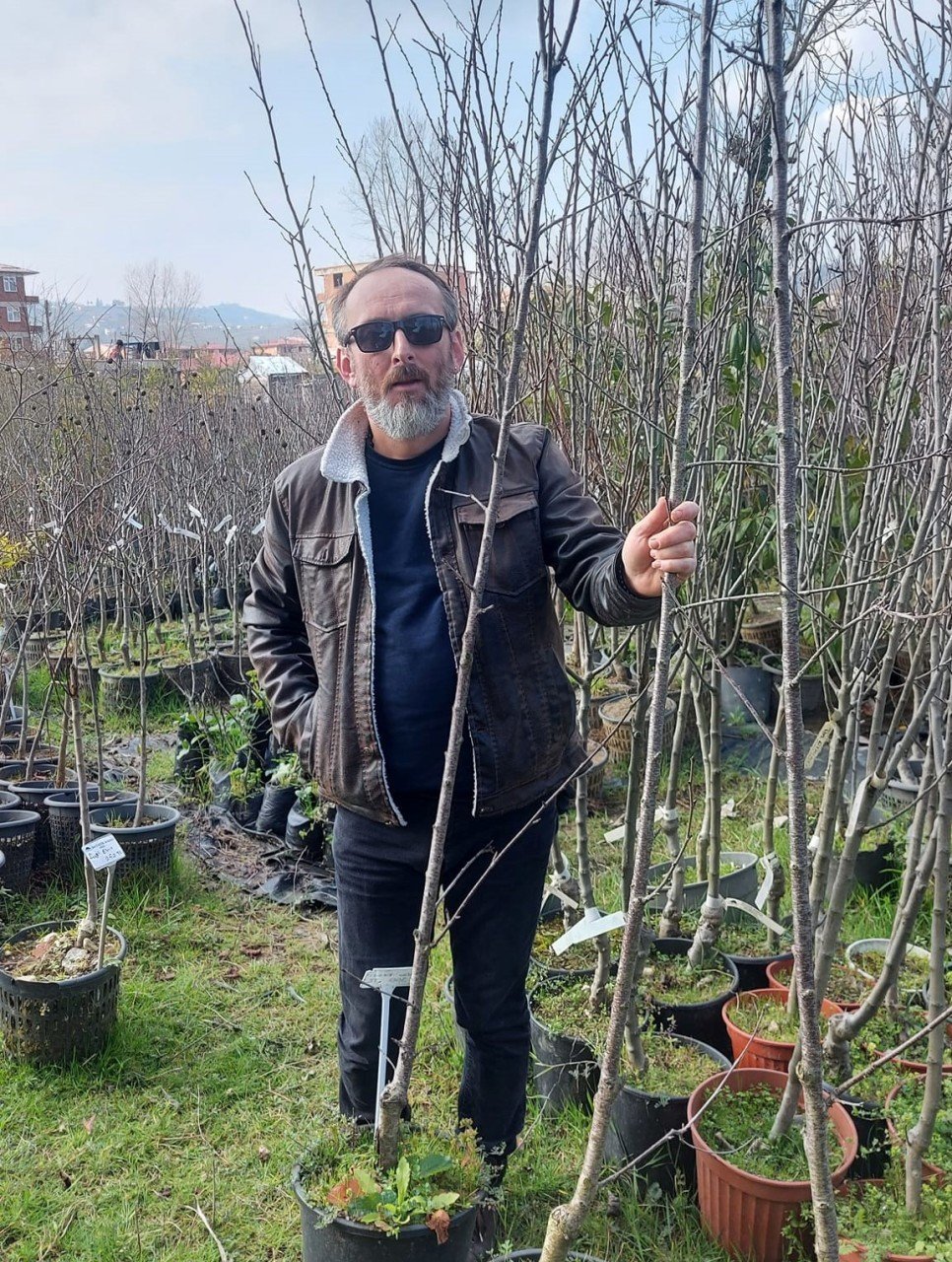 Van Kirazı Fidanı 5-6 Yaş-Boy 230-250 cm