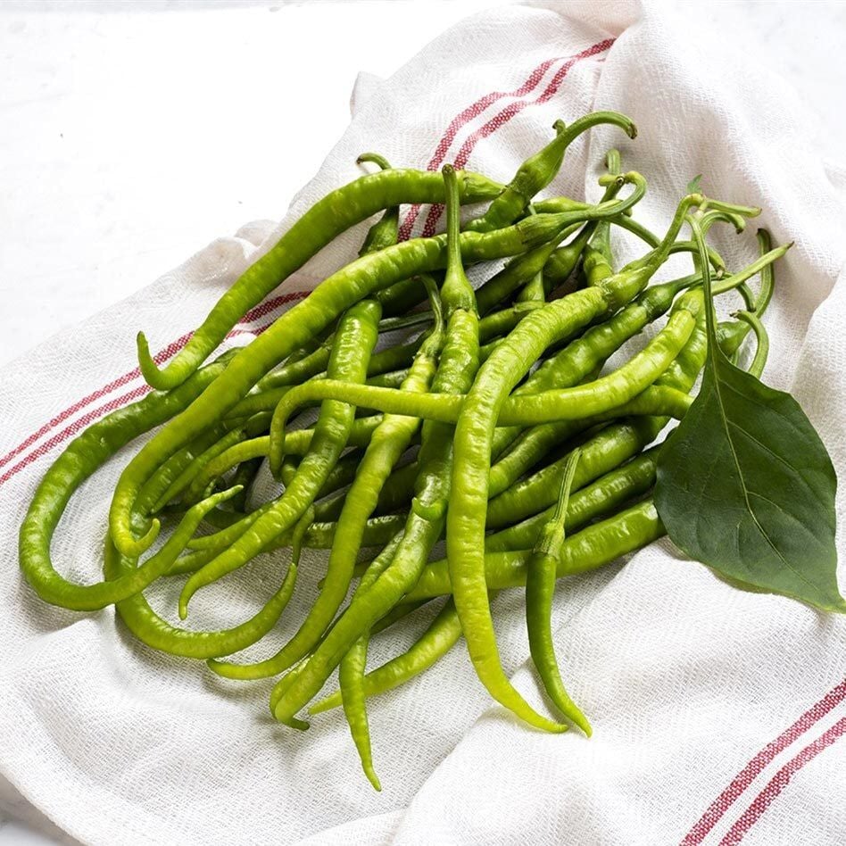 3 Adet Tatlı kıl biber Fidanı