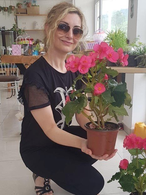Begonia Toran Katmerli Begonya-30-40 cm