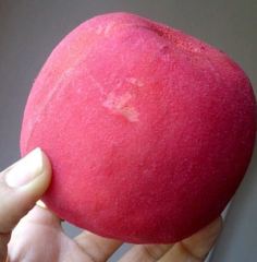 Red Guava Fidanı 80-100 cm