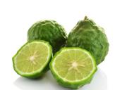 Kaffir Lime Fidanı (Dikensiz-Kültür Çeşit) Anaç Fidan 100 cm