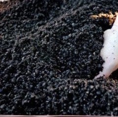 Nif Organik Süper Humus 40 Litre