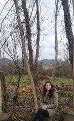 Ailanthus Altissima (Kokarağaç, Cennet Ağacı) Boy 350 cm-Gövde Çevresi 26-30 cm
