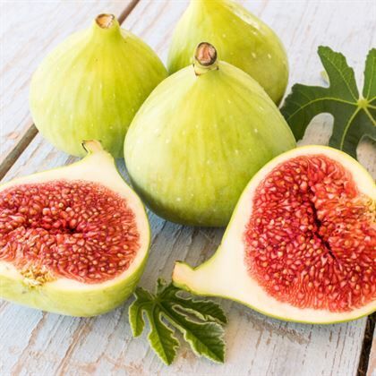 Aydın Sarı Lob İncir Fidanı 3 Yaş-130-140 cm