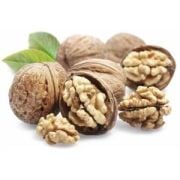 Chandler Ceviz Fidanı 100-120 cm