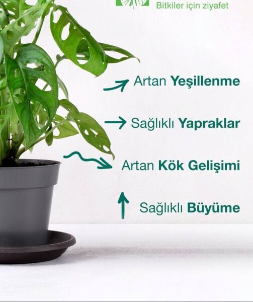 Tüm Bitkiler Genel Kullanım Bitki Besini 20 ml