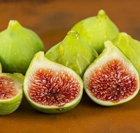 Beyaz Karadeniz İnciri 2 Yaş- Boy 60-100 cm