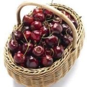 Kiraz (Karabodur Kiraz) Fidanı-5 yaş-200-230 cm-Saksılı