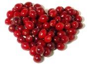 Kızılcık (Cornelian Cherry) Fidanı 2 Yaş 60-100 cm