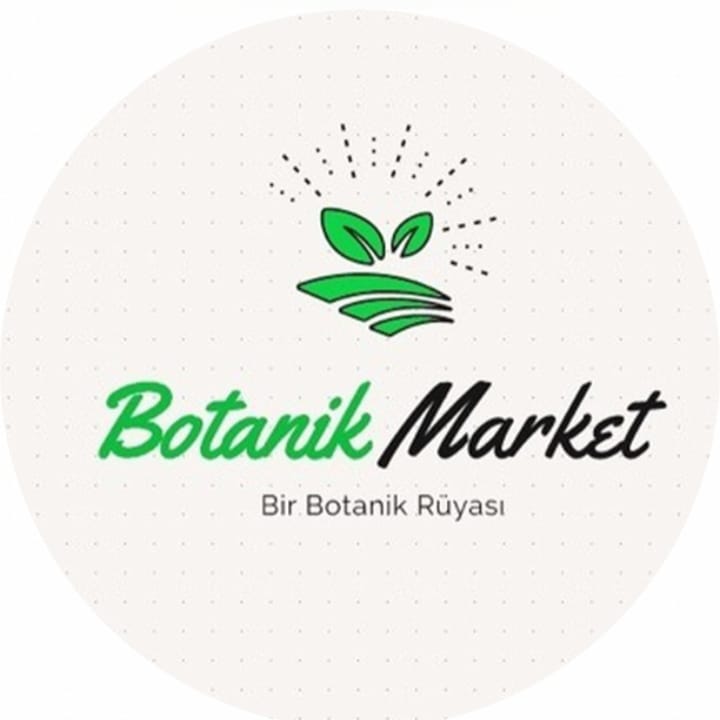 Beyaz Çiçekli Yaban Gülü 50-100 cm
